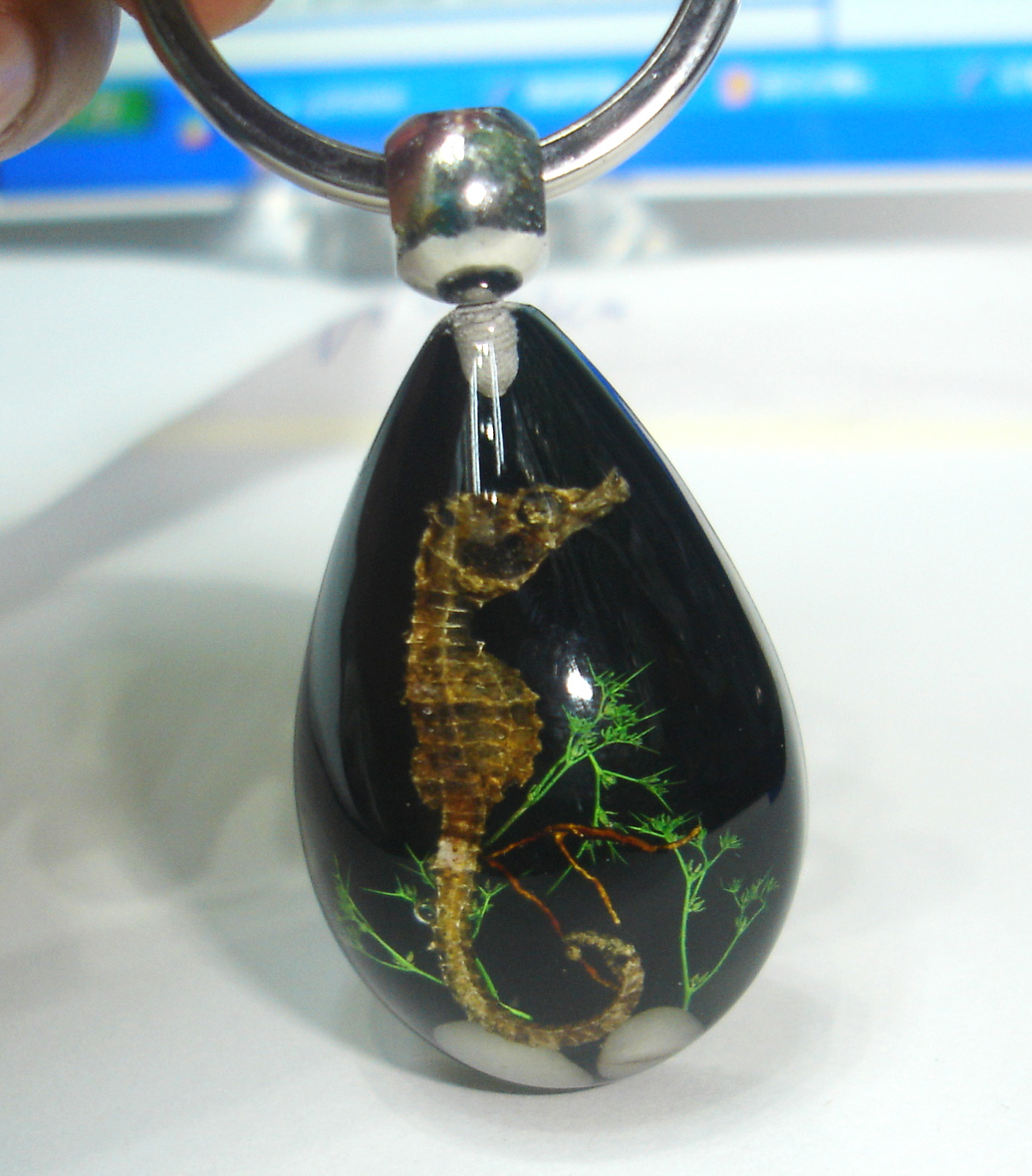 artificial amber keychain with real sea horse 2BKSH