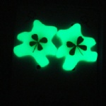 luminous lucky clover ear studs  AJC606