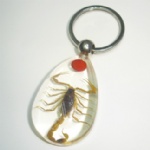 insectamber keychain 3SK03