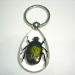 insectamber keychain 3SK07