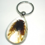 insectamber keychain 3SK09