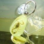 luminous insectamber keychain 3YK01