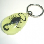 luminous insectamber keychain 3YK02