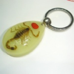 luminous insectamber keychain 3YK03