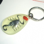 luminous insectamber keychain 3YK04