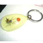 luminous insectamber keychain 3YK05