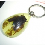 luminous insectamber keychain 3YK09