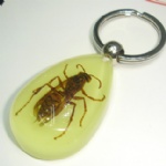 luminous insectamber keychain 3YK10