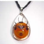artificial amber pendant with real insect 2SD04