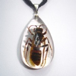 artificial amber pendant with real insect 2SD07