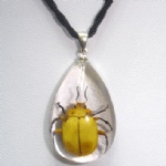 artificial amber pendant with real insect 2SD08