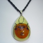 luminous artificial amber pendant with real insect 2YD04