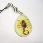 lighting artificial amber mobile phone strap with real insect YA01