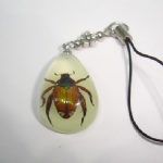 lighting artificial amber mobile phone strap with real insect YA05