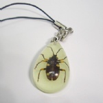 lighting artificial amber mobile phone strap with real insect YA06