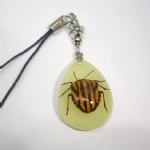 lighting artificial amber mobile phone strap with real insect YA07