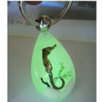 artificial amber keychain with real sea horse 2YKSH
