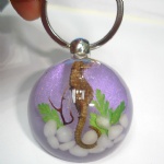 artificial amber keychain with real sea horse 4PUKSH