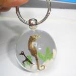 artificial amber keychain with real sea horse 4SKSH