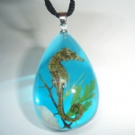 artificial amber pendant with real sea horse 2BLDSH