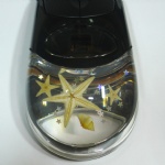 artificial amber  mouse with marine life MS05