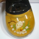 artificial amber  mouse with marine life MS08