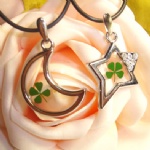 lucky clover lovers necklace AFA146147
