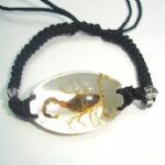 2012 hot sell real insect bracelet of scorpion