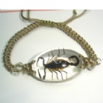tourist souvenir  insect amber  bracelet of black scorpion