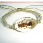 tourist souvenir  insect amber  bracelet of brown wasp