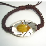 clear  insect amber  bracelet  SL  golden leaf beetle