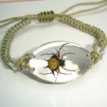 very clear  insect amber  bracelet  SL spider