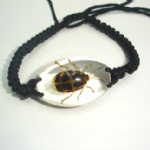 fancy  insect amber  bracelet  SL spider